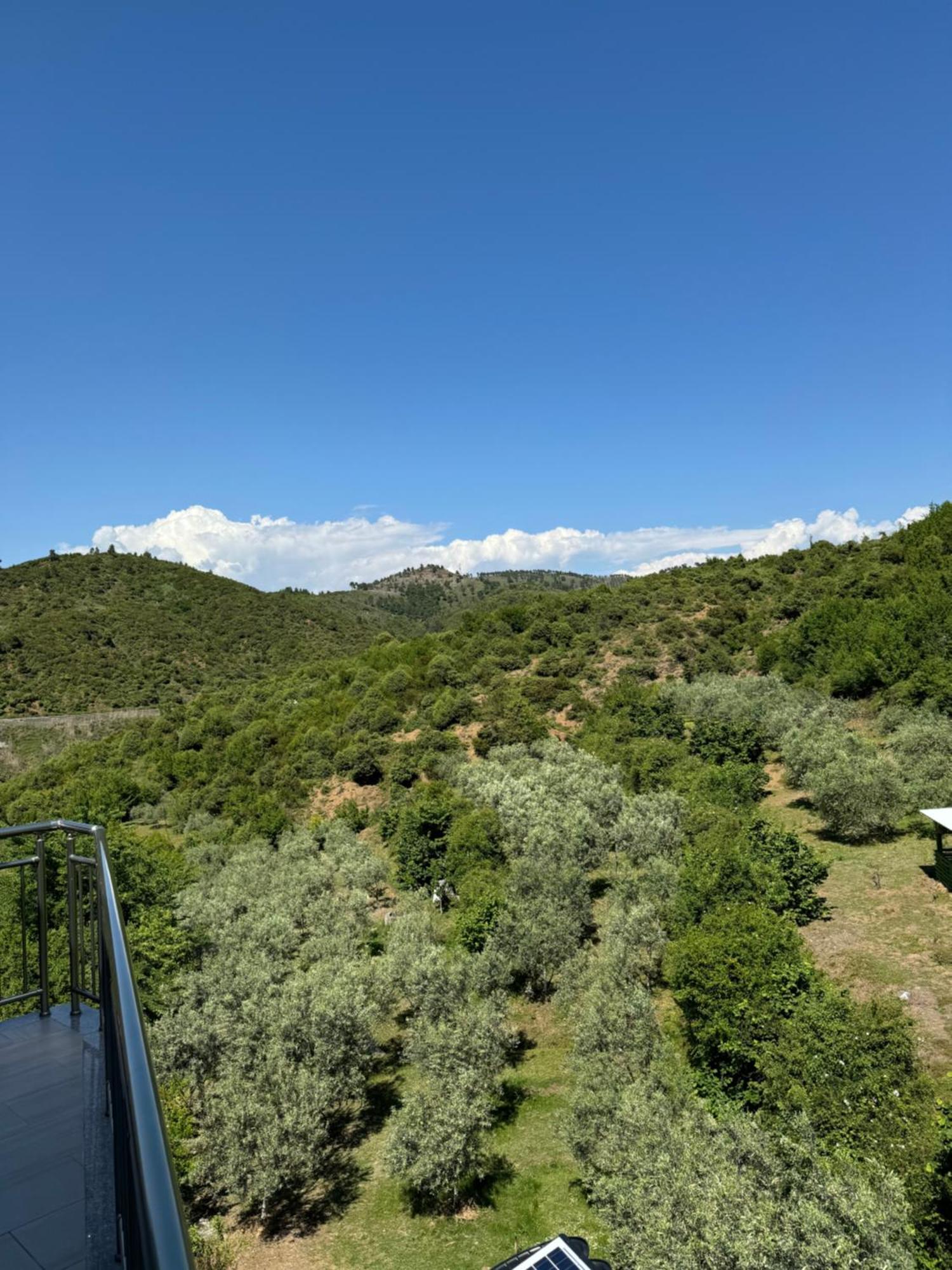 Qyteza Guest House & Camping Shkodër Exterior foto